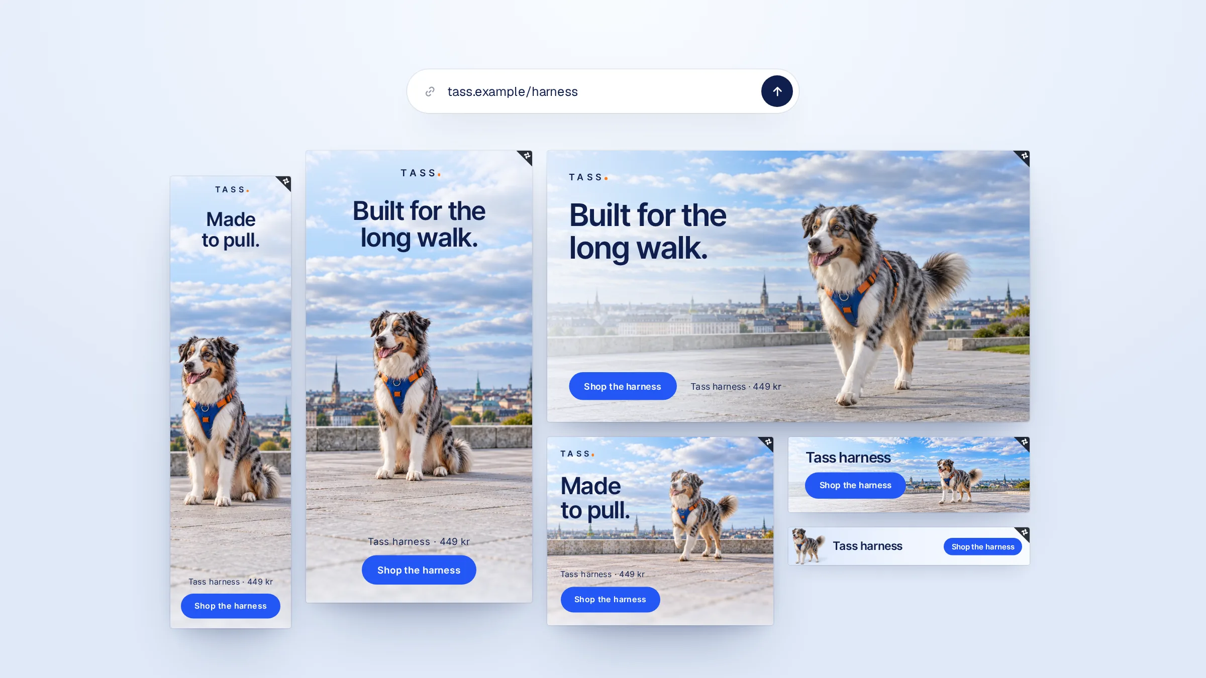Tass's banners in six formats under the link they were made from